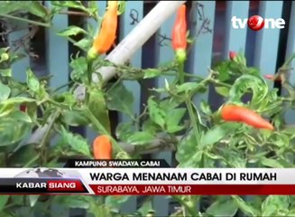 Warga di Kampung Ini Tak Terpengaruh Naiknya Harga Cabai