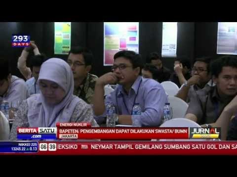 Pengembangan Energi Nuklir dapat Dilakukan Swasta BUMN