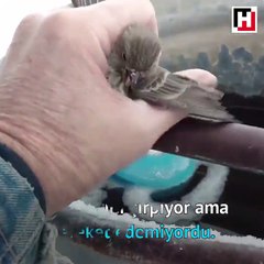 Ayakları donup yapışan kuşu kurtardı