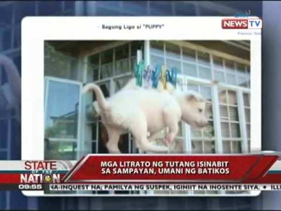 SONA - Animal abuse, nahuli sa Facebook 061411