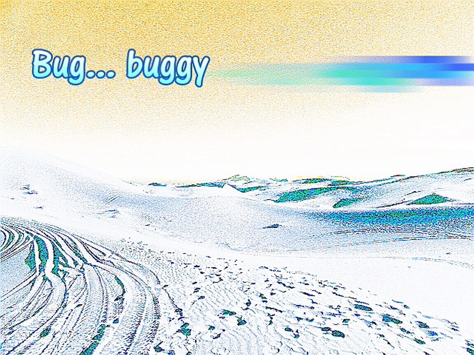 Bug buggy