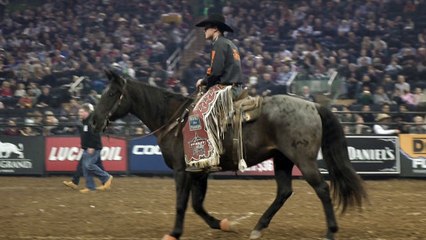 Professional Bull Rider Madness at Madison Square Garden