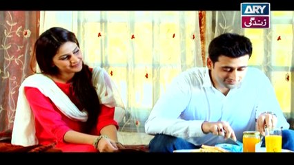 Mein Chand Si Episode - 03 - on ARY Zindagi in High Quality 12th January 2016