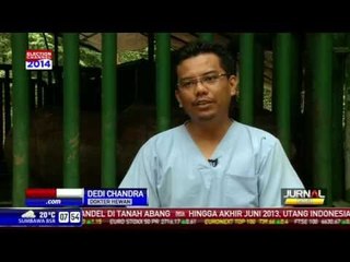 Populasi Badak Liar Terus Berkurang