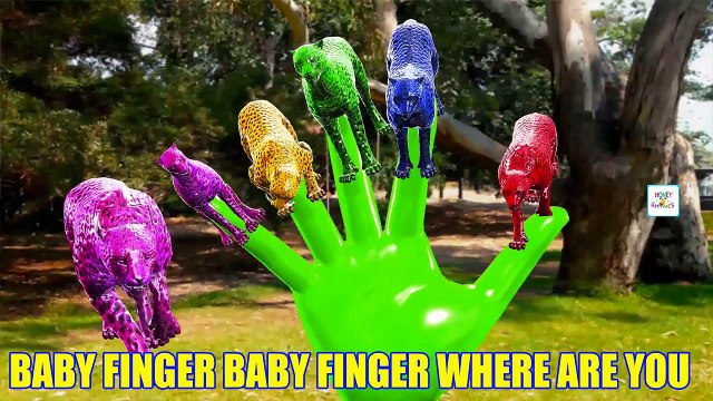 Cheetah Vs Crocodile Cartoon COLORS Short Movies for Kids to Learn Finger Family Kids Rhymes