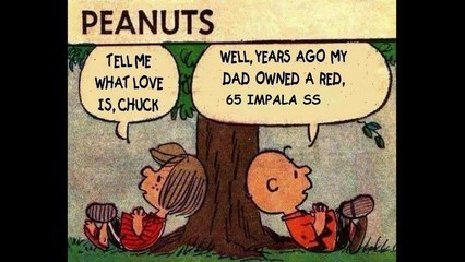 Funny Drag Race Memes, Hot Rod Memes And Automotive Memes 3