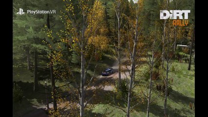 DiRT Rally PS VR [FR]