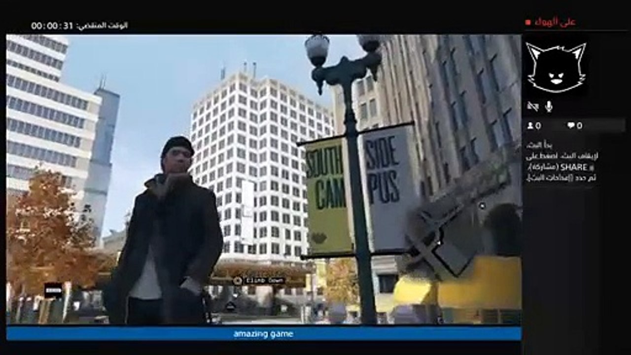 the real video (30)