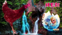 Frozen Surprise eggs learning Domestic Animals names - Colors Dinosaurs Finger family 3d Rhymes