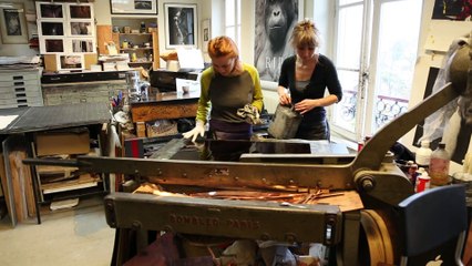 Cécile Hartmann, Solaris - 2016