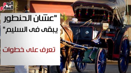 فيديو جراف .."عشان الحنطور يبقى فى السليم".. تعرف على خطوات ترخيصه