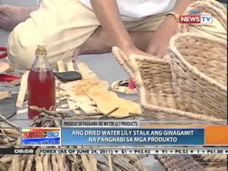 News to Go - Mga produktong gawa sa water lily 6/28/11