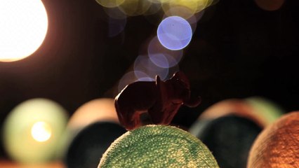 Je suis LE DERNIER HABITANT DE LA LUNE