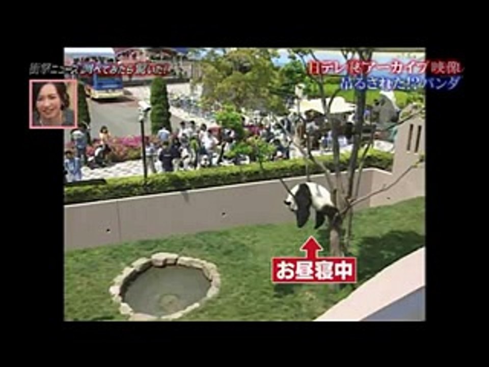 古い映像