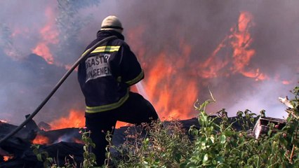 Afrique du Sud: Les feux de forêt continuent près du Cap