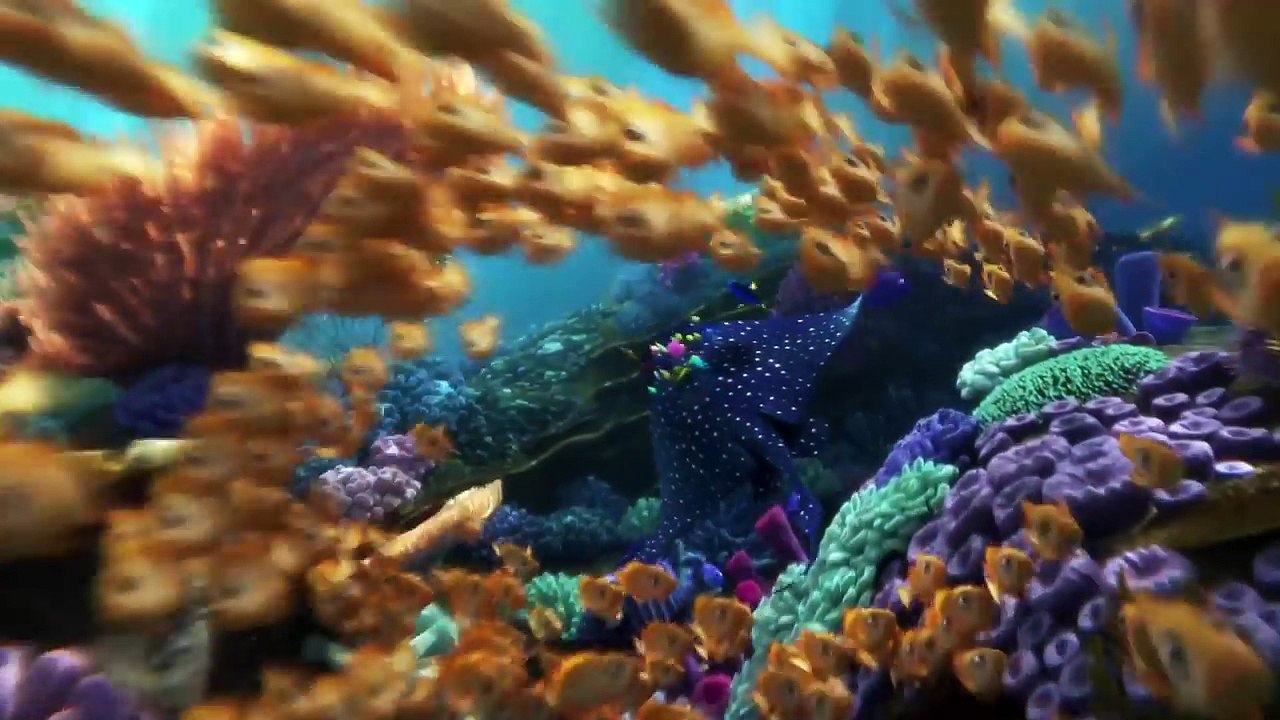 Le Monde de Dory - Bande-annonce française-J6vXEyFqeyM