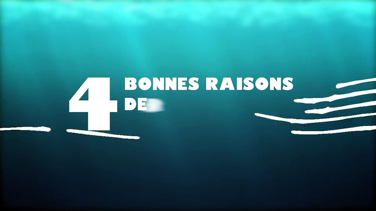 Le Monde de Dory - Raison n°1 de passer à l'achat digital !-4ExRSVS92kw