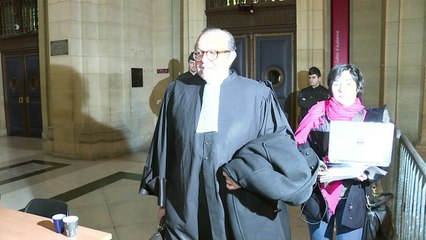 Fraude fiscale: relaxe spectaculaire pour les Wildenstein