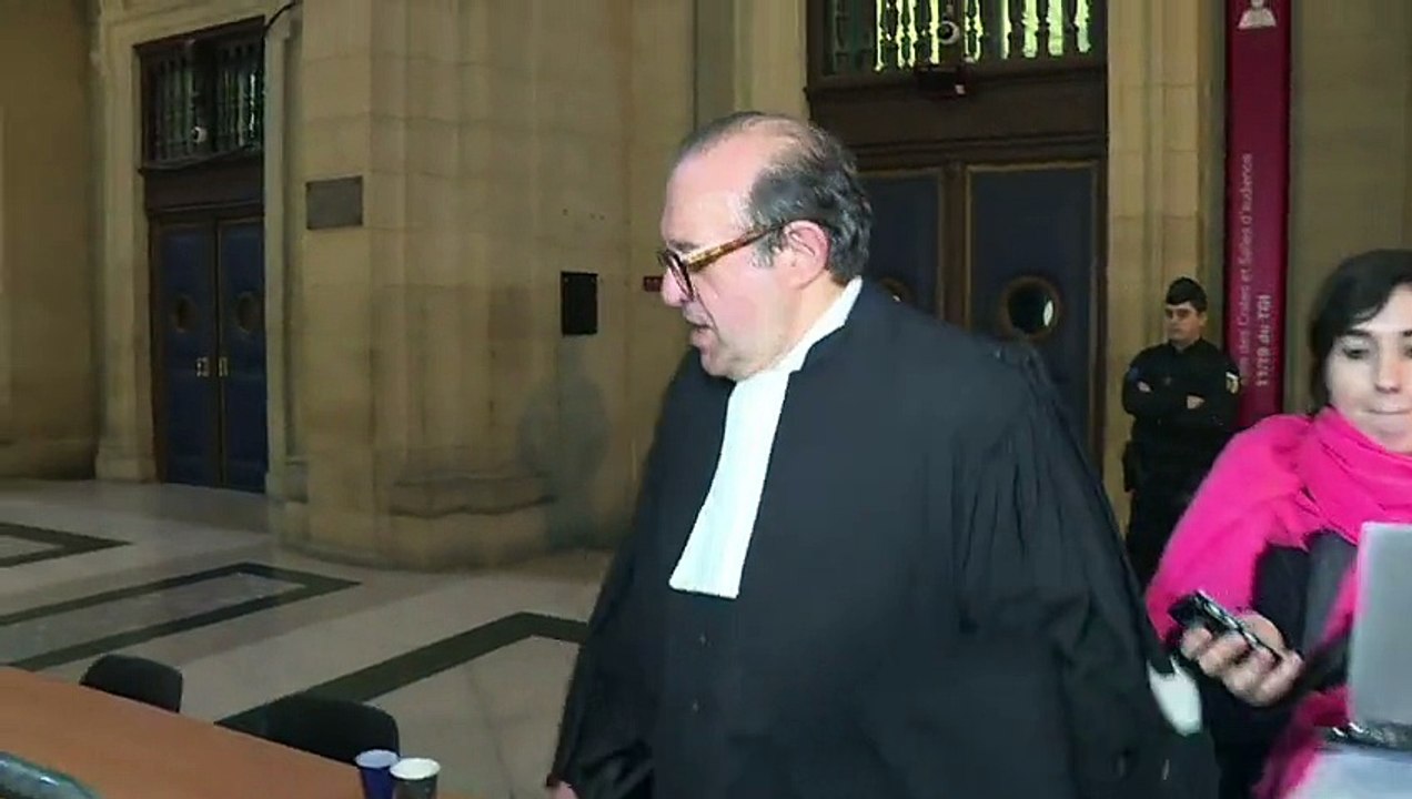 Fraude fiscale: relaxe spectaculaire pour les Wildenstein