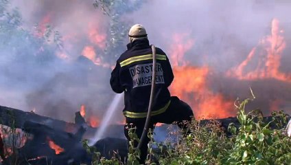 Afrique du Sud: Les feux de forêt continuent près du Cap