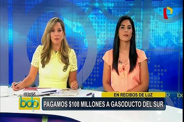 Economista Mendoza sobre Gasoducto del Sur: “Se debe hacer una nueva licitación sin garantía pública”