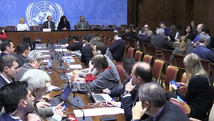 Chypre: les cartes du futur Etat fédéral confiées à l'ONU
