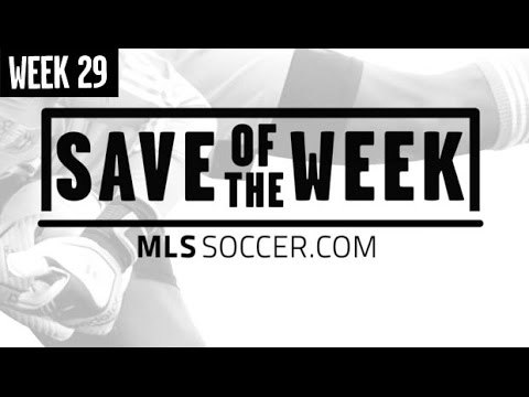 2014 Save of the Week Nominees: Week 29