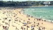 Crowds flock to Sydney beaches in heatwave