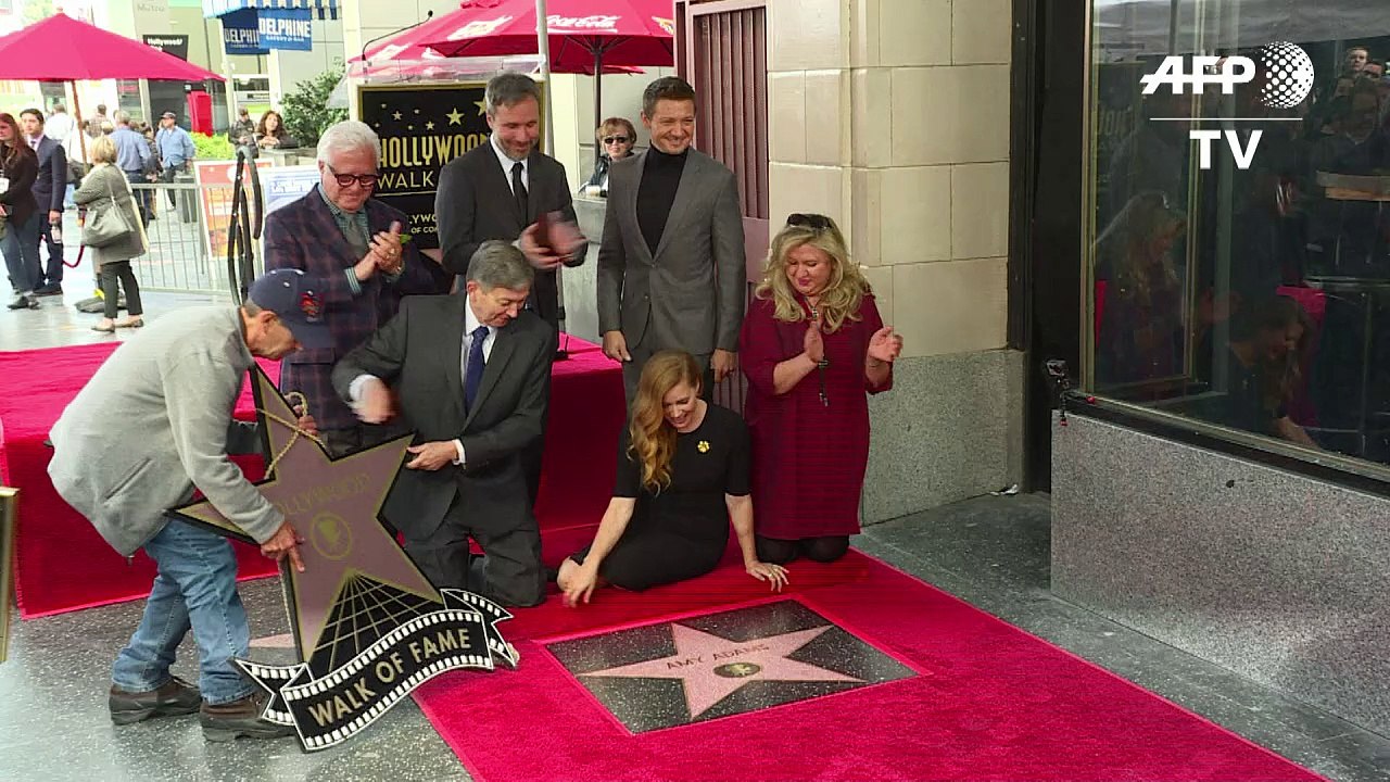 Stern in Hollywood für Amy Adams