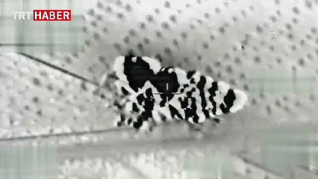 El Bab'daki DEAŞ hedefleri böyle vuruldu