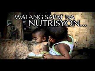 Rescue celebrates 1st Anniversary