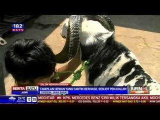 Salon Hewan Kurban, Ampuh Genjot Penjualan