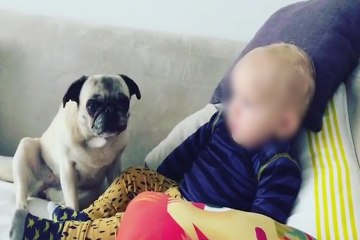 Tania Llasera se prepara para el cumpleaños de Pepe