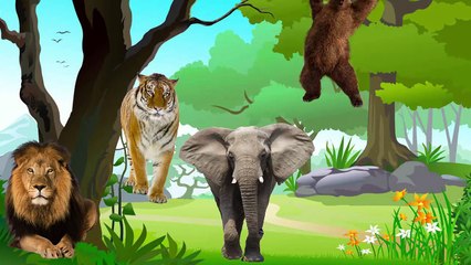Animals Cartoons Finger Family Children Nursery Rhymes Animals Finger Family Rhymes for Babies