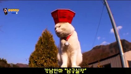 티파니안마 010⇔4373⇔1910『티파니안마,남궁실장』【티파니안마방,티파니안마실장】∑티파니안마위치∑티파니안마추천[[티파니안마위치 티파니안마추천