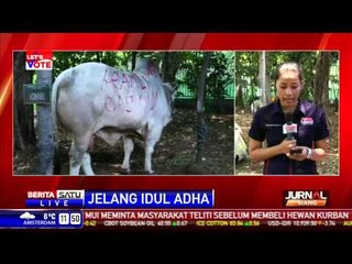 Persiapan Panitia Masjid Istiqlal Jelang Iduladha