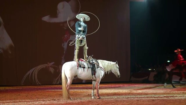 Avignon : 1200 équidés attendus à Cheval passion