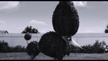 Frankenweenie - En Blu-Ray et DVD le 1er Mars 2013 - Extrait La Fiancée de Frankenstein !-0JBzuRscm0Y