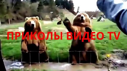 Приколы. Карапуз танцует дэнс!
