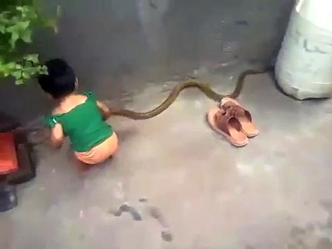 Kids Funny Video ★ Funny Videos Of Kids ★ Funny Videos For Kids ★ Funny Baby Fails