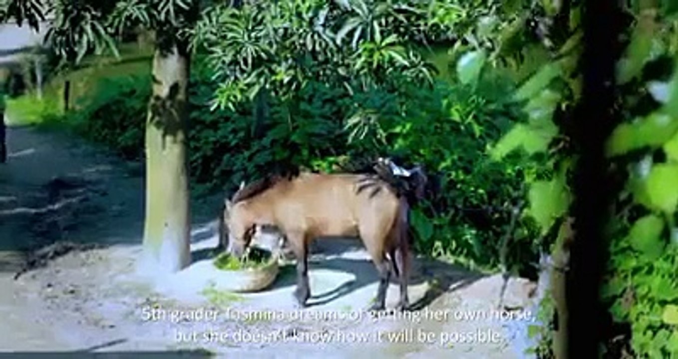 ঘোড়সওয়ার