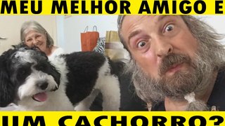 Meu melhor amigo é um Cachorro - My friend best is a DOG