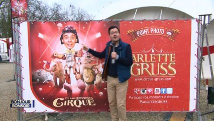 Bonjour bonsoir - Gruss