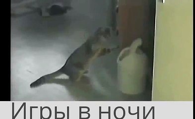 Игры в ночи