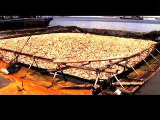 NO to Irresponsible Fish Farming!