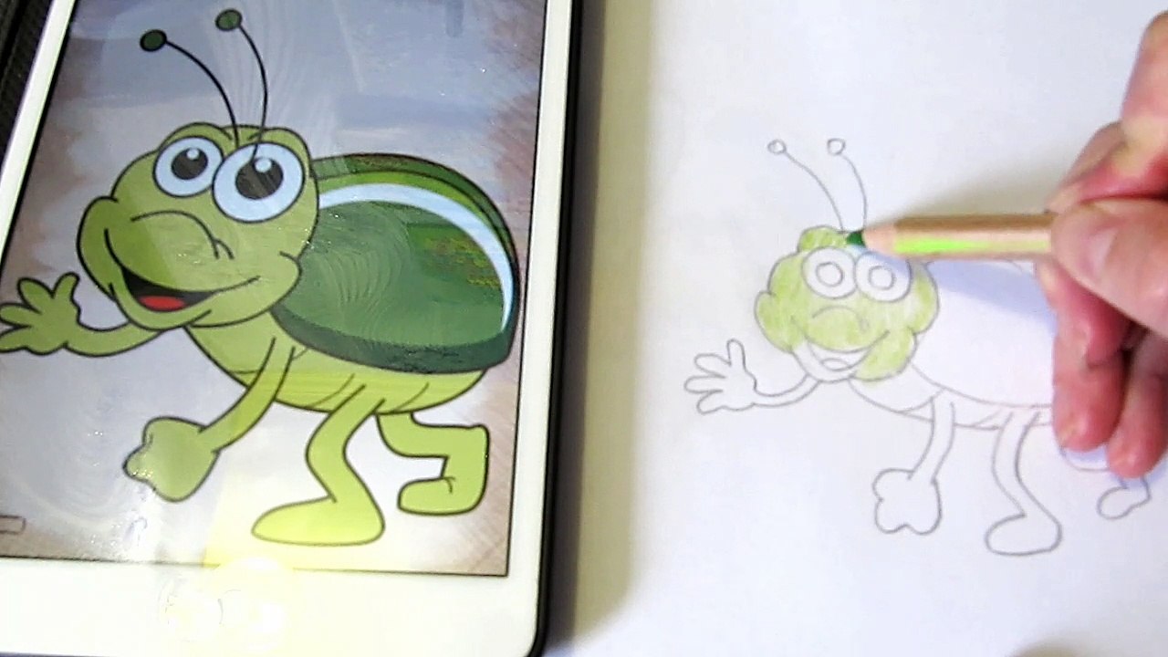 Как нарисовать поэтапно Майского жука. Рисуем Майский жук по шагам How to draw a Maybug step by step