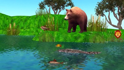 Finger Family Bear | Animals Cartoon Finger Family Rhymes Plus More Nursery Rhymes