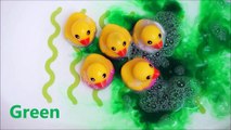 Learn Colours Five Little Ducks Water Bath Foam - Learn Numbers & Colors collection