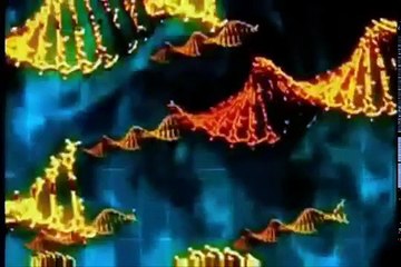 The first Antichrist! The Serpent God !!Quetzalcoat !! (Cain)