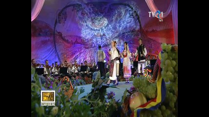 Adriana Sofica - Badita din Almalau (Festivalul Strugurele de aur - Jidvei 2016)
